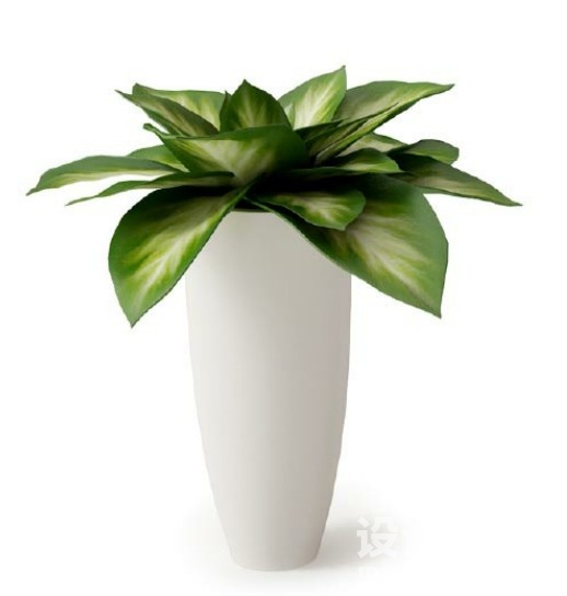 盆栽植物3d模型下载