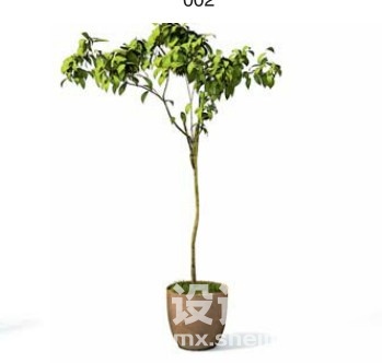 室内植物3d模型下载