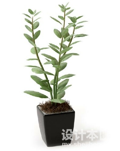 盆栽植物3d模型下载