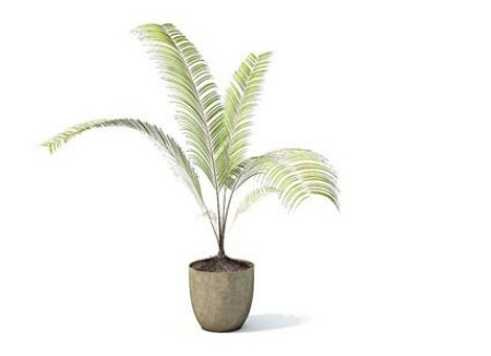 室内植物3d模型下载