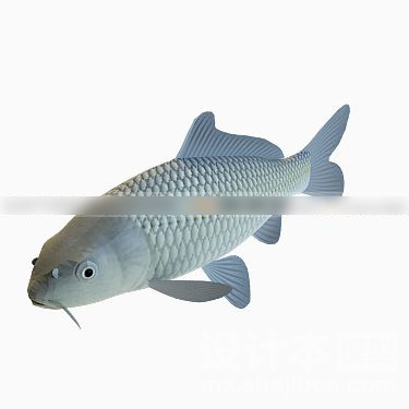 动物3d模型下载