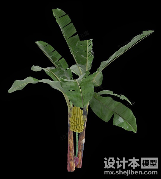 植物3d模型下载