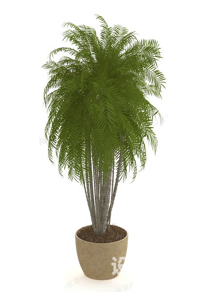 室内植物3d模型下载