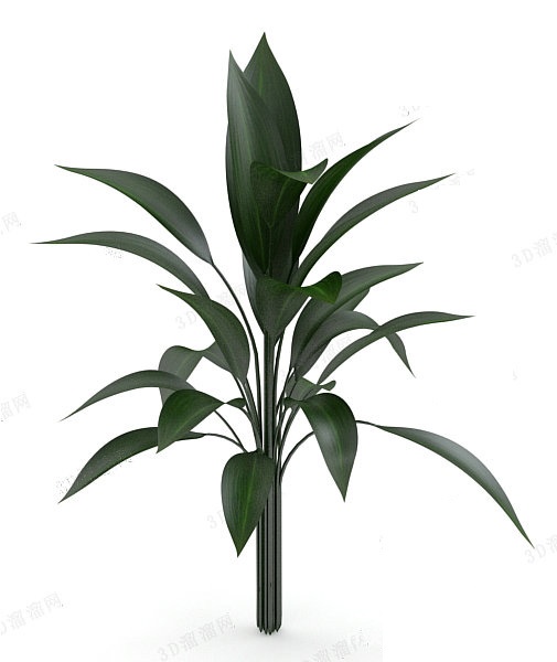 植物3d模型下载