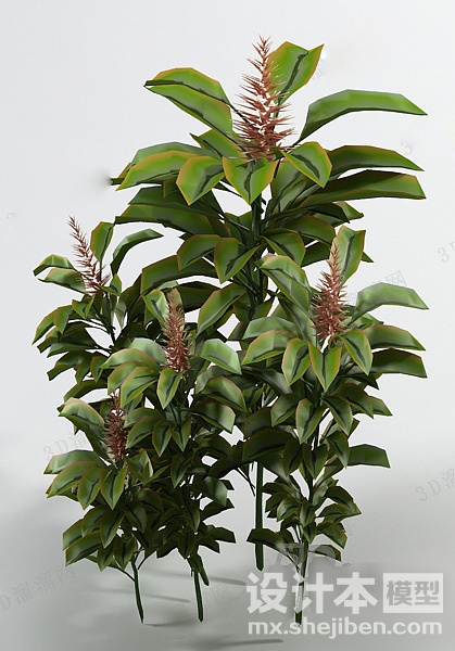 植物3d模型下载