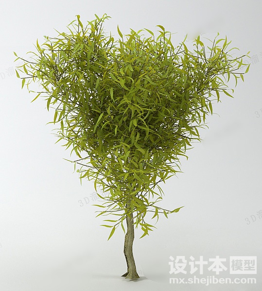 植物3d模型下载