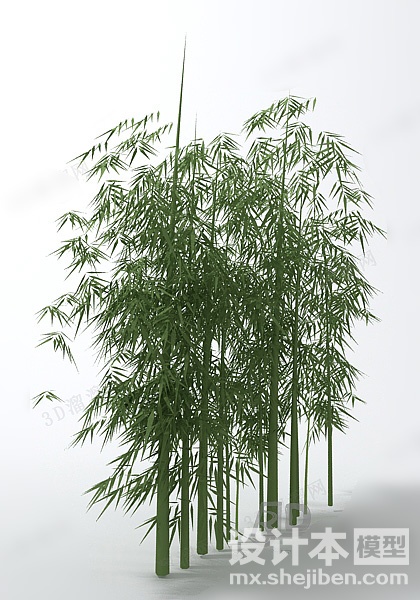 植物3d模型下载