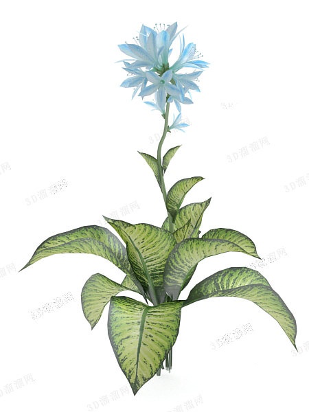 植物3d模型下载