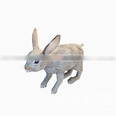 动物3d模型下载