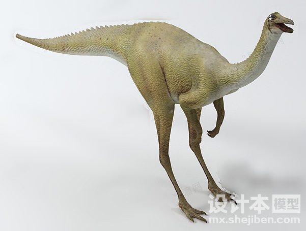 动物3d模型下载