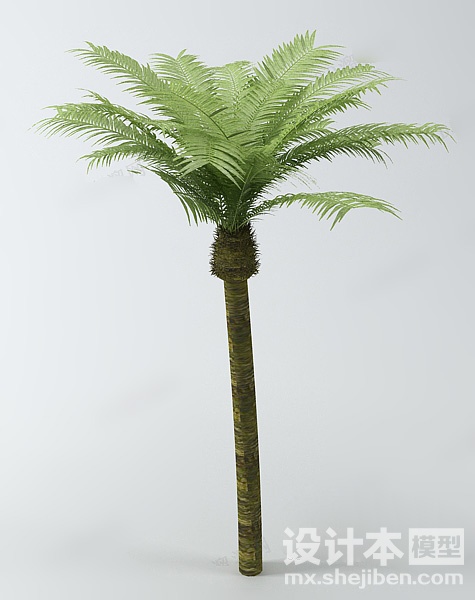 植物3d模型下载