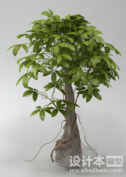 植物3d模型下载