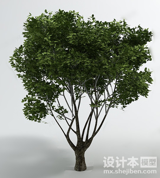 植物3d模型下载