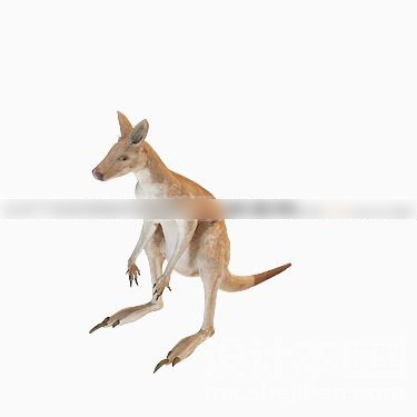 动物3d模型下载