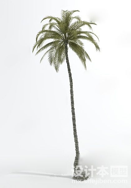 植物3d模型下载
