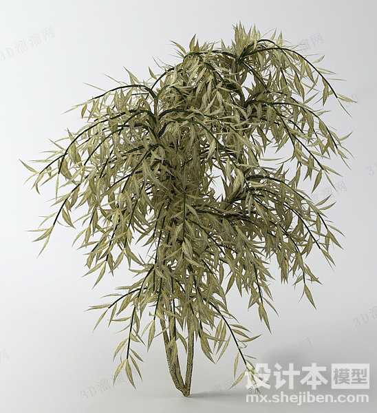 植物3d模型下载