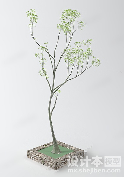植物3d模型下载
