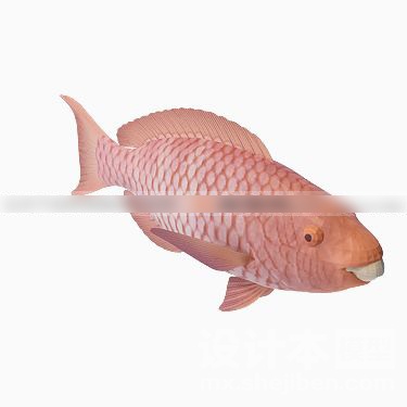 动物3d模型下载