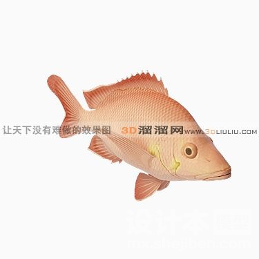 动物3d模型下载