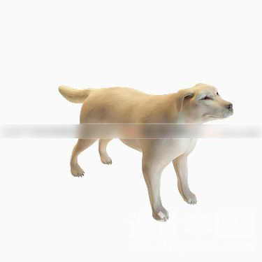动物3d模型下载