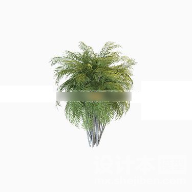 植物3d模型下载