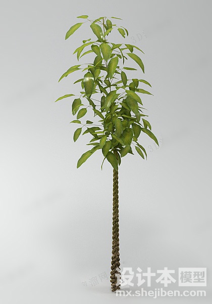 植物3d模型下载