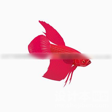 动物3d模型下载