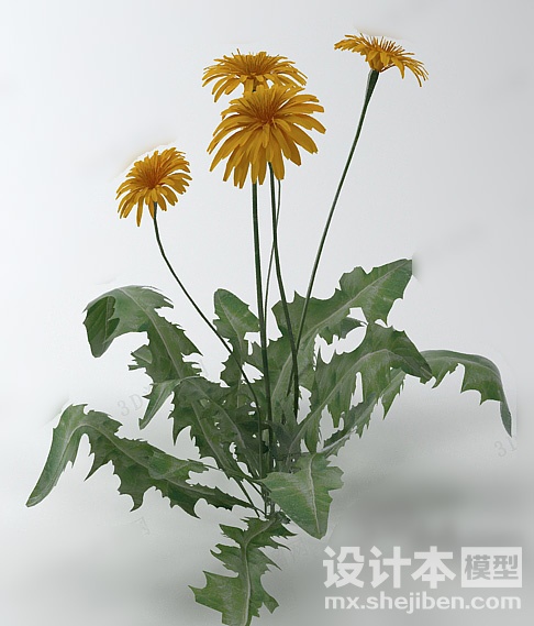 植物3d模型下载