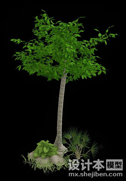 植物3d模型下载