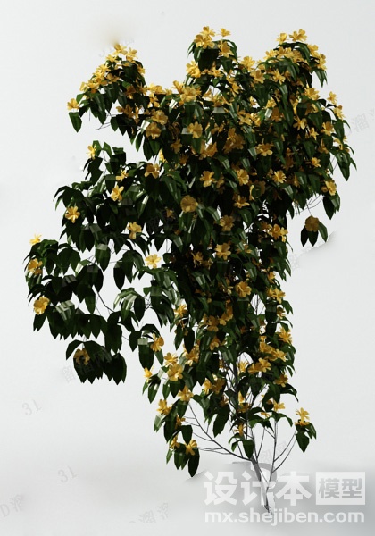 植物3d模型下载