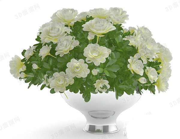 植物3d模型下载