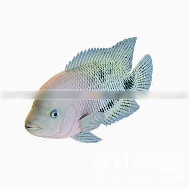 动物3d模型下载