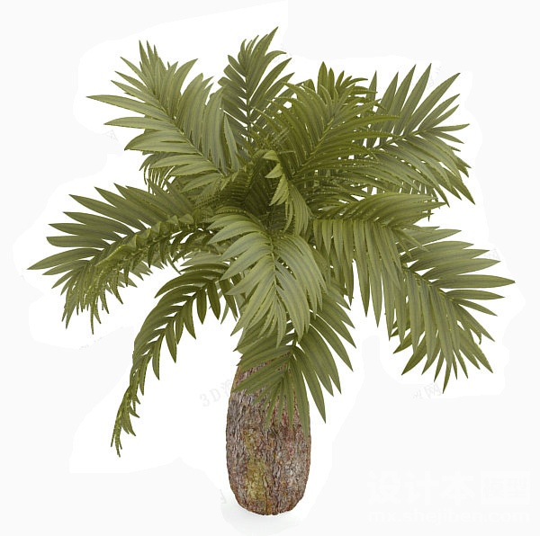 植物3d模型下载