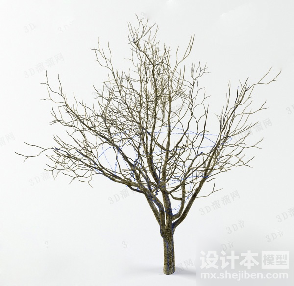 植物3d模型下载