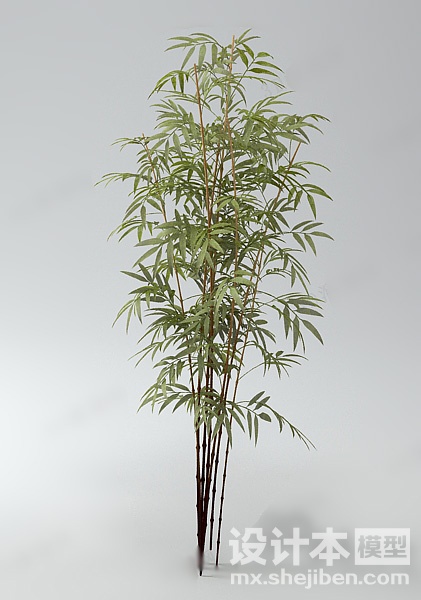 植物3d模型下载