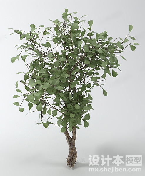植物3d模型下载
