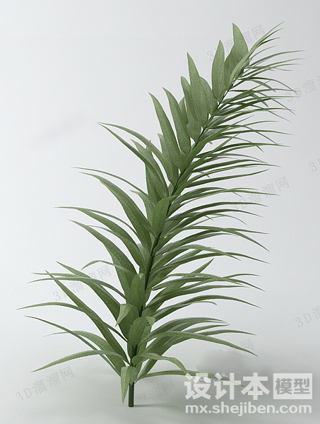 植物3d模型下载