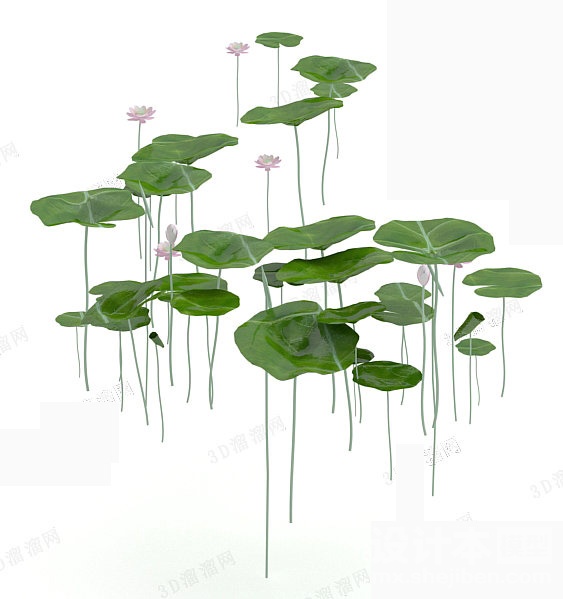 植物3d模型下载