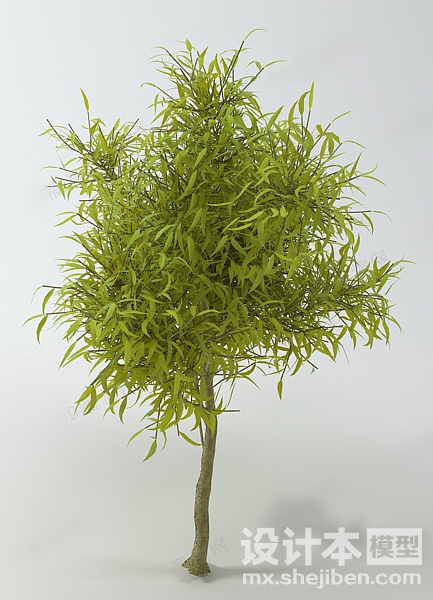 植物3d模型下载