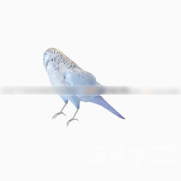 动物3d模型下载