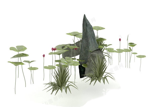 植物3d模型下载