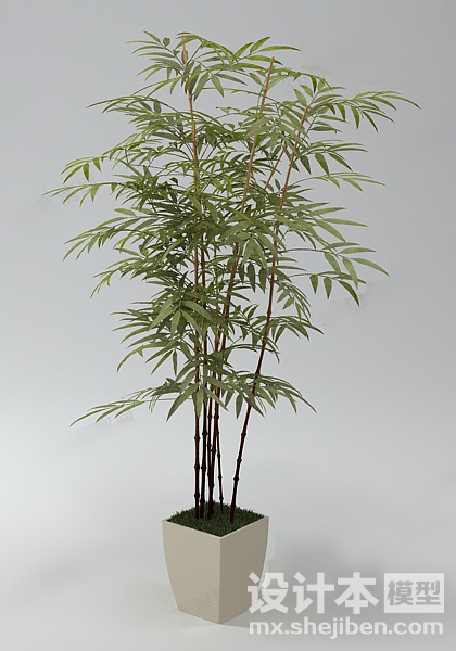 植物3d模型下载