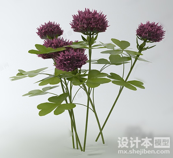 植物3d模型下载
