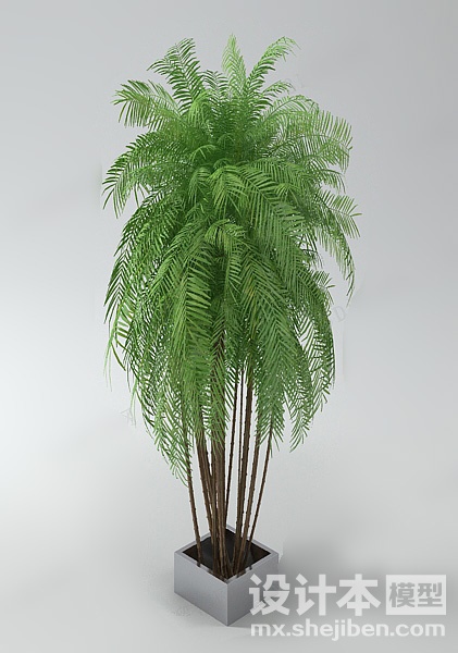 植物3d模型下载