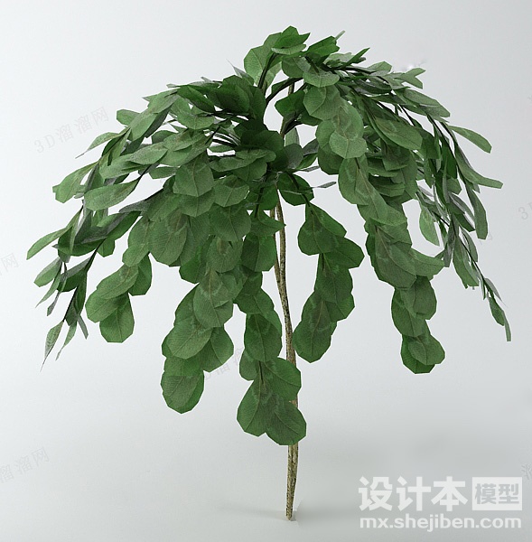 植物3d模型下载
