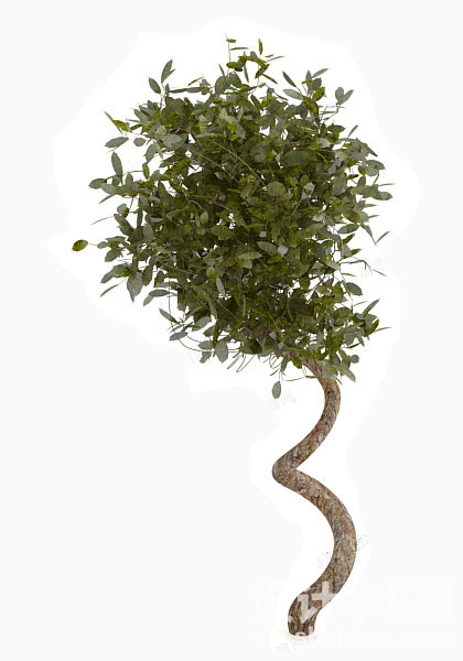 植物3d模型下载