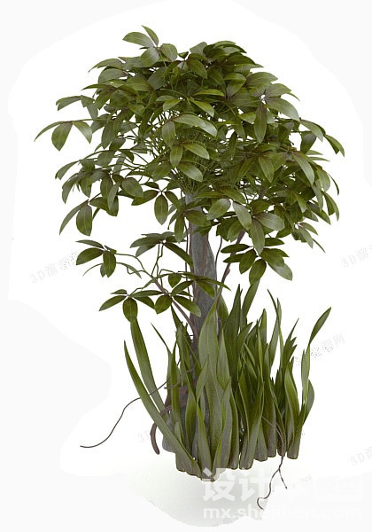 植物3d模型下载