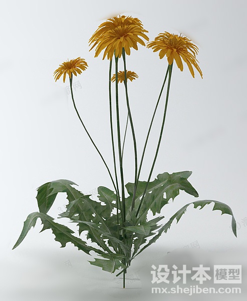 植物3d模型下载