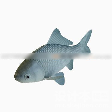 动物3d模型下载