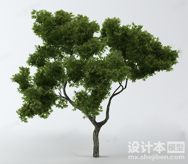 植物3d模型下载